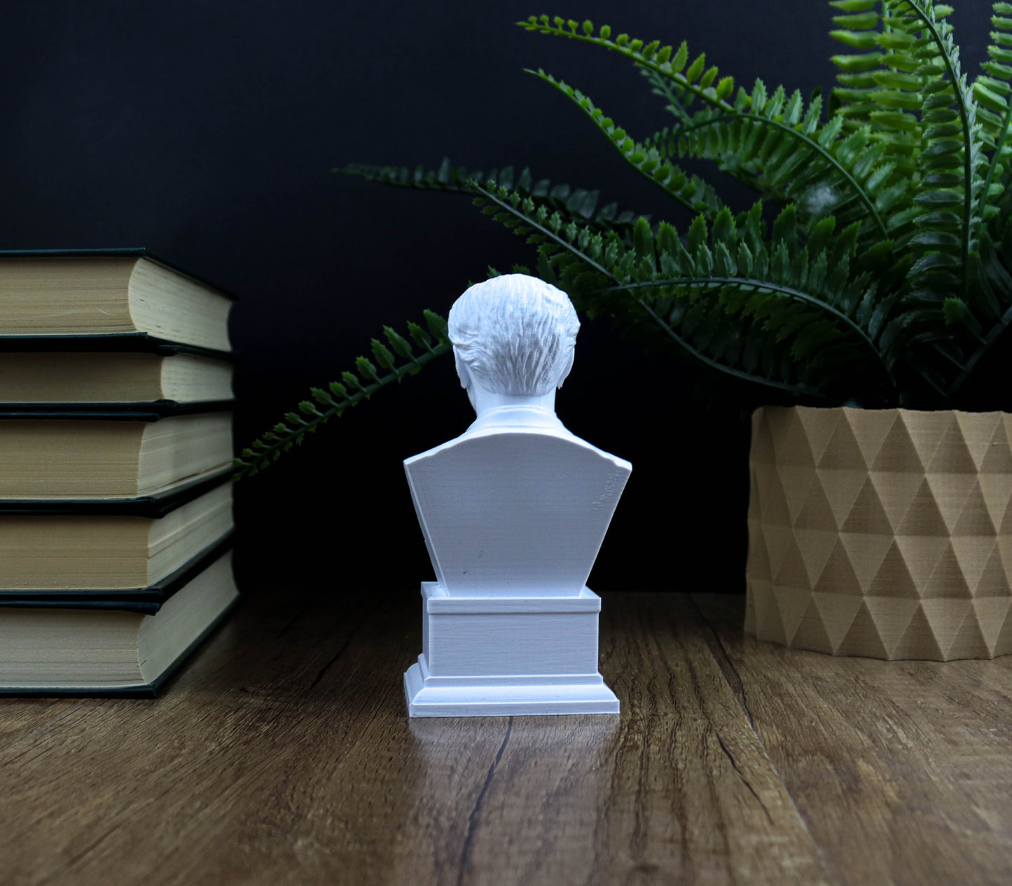 A white bust of a person is displayed on a wooden surface, surrounded by a stack of books and a potted plant.