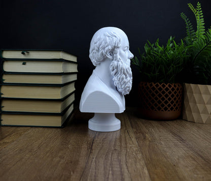 Socrates Bust, Greek Statue, Sculpture