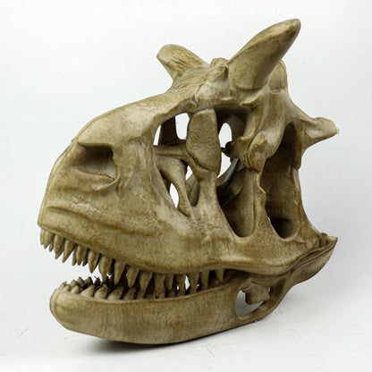 Aged Carnotaurus Skull Replica: Dinosaur Fossil Decor