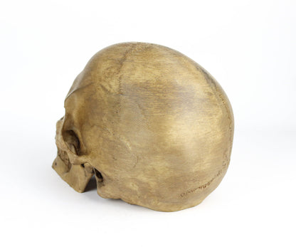 Aged Human Skull Headphone Holder, Skull Horror Decor Headphone stand
