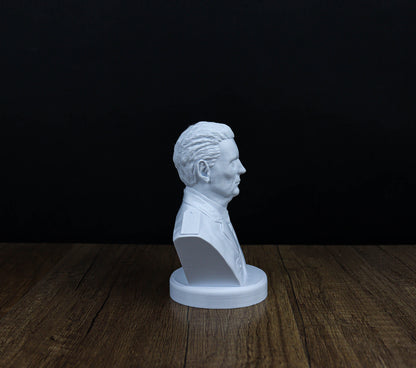 Josip Tito Bust, Historical Leader Sculpture for Bookshelf and Home Decor