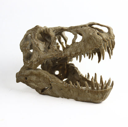 T-rex skull, TRex Aged Skull Replica, Prehistoric Dinosaur Fossil Decor, Jurassic Collectible Gift