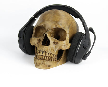 Aged Human Skull Headphone Holder, Skull Horror Decor Headphone stand