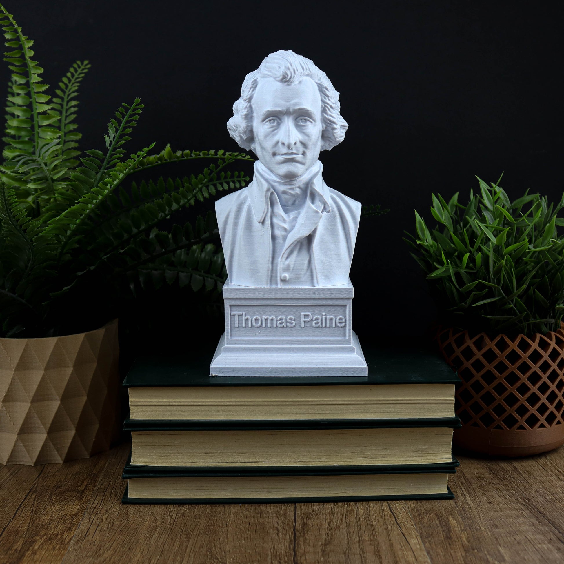 A white bust of Thomas Paine is displayed on top of three books, surrounded by potted plants.