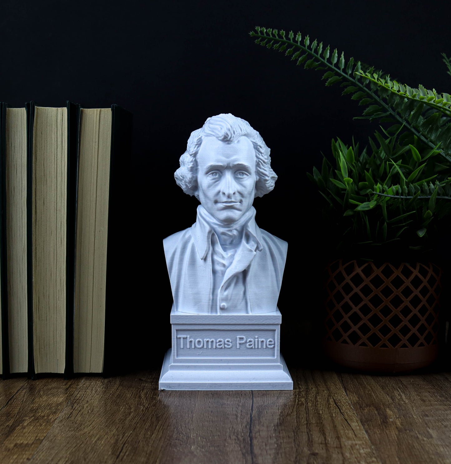 A white bust of Thomas Paine is displayed on a wooden surface, surrounded by books and a potted plant.
