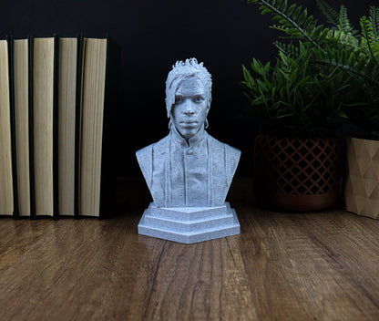 Prince Bust, Music lover gift